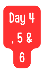 Day 4 5 6